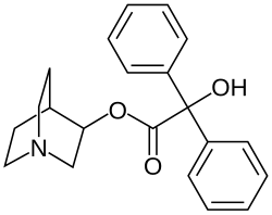 毕兹 毕兹